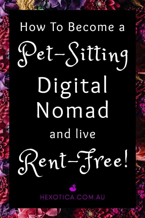 How to Become a Pet-Sitting Digital Nomad and Live Rent-Free! by Hexotica
